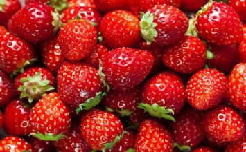 Những thực phẩm giúp phòng ngừa bệnh tiểu đường